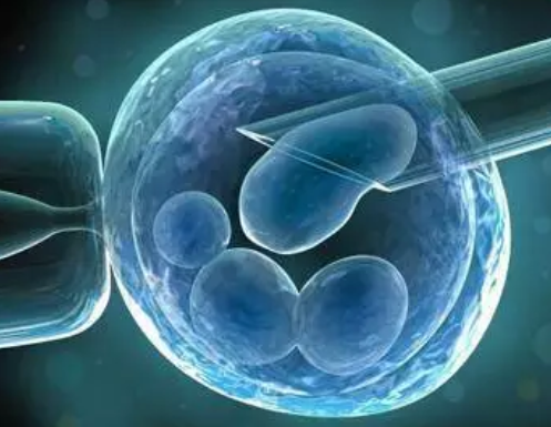 外資高新生物醫(yī)藥投資選址項目 外資高新生物醫(yī)藥投資選址項目