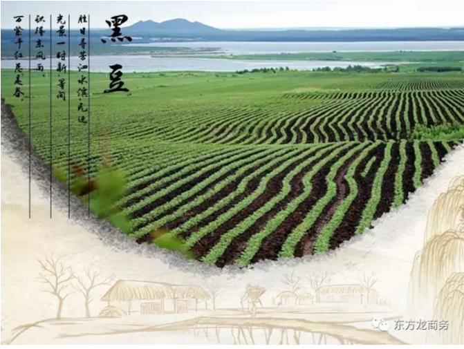 黑豆養(yǎng)生小鎮(zhèn)全國布點投資選址項目