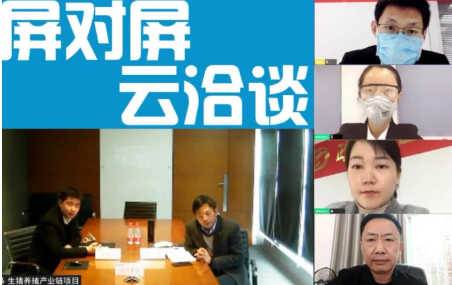 舉行生豬養(yǎng)殖全產(chǎn)業(yè)鏈投資選址項目的線上對接會，確保優(yōu)質(zhì)項目順利推進