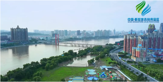 全力助推吉林（中國-新加坡）食品區(qū)委托招商引資，加快打造世界級安全食品生產(chǎn)示范區(qū)！