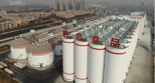 集團助力河南省南陽市鎮(zhèn)平縣委托招商引資，推動縣域經(jīng)濟大轉(zhuǎn)型