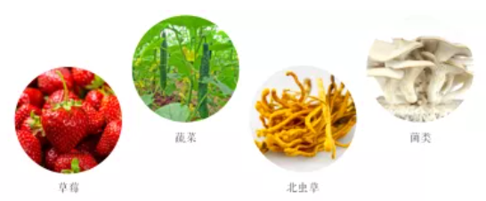 集團全力助推遼寧省燈塔市委托招商引資，以“特色小鎮”打造全國產業集聚區