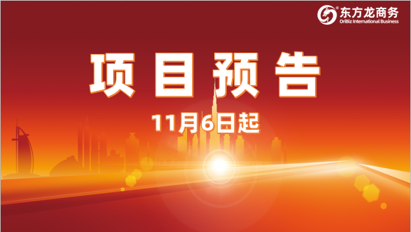 搶抓進博機遇，堅持一線開發(fā)！11月6日起，17家優(yōu)質(zhì)投資選址企業(yè)精準對接全國政府園區(qū)