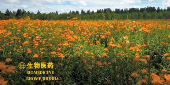 集團全力助推黑龍江大興安嶺委托招商引資，聚力將“冷資源”轉化為“熱經濟”！
