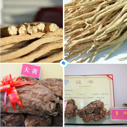 集團全力助推甘肅隴南宕昌縣委托招商引資，以特色優(yōu)勢資源引領(lǐng)，培育綠色產(chǎn)業(yè)高質(zhì)量發(fā)展！