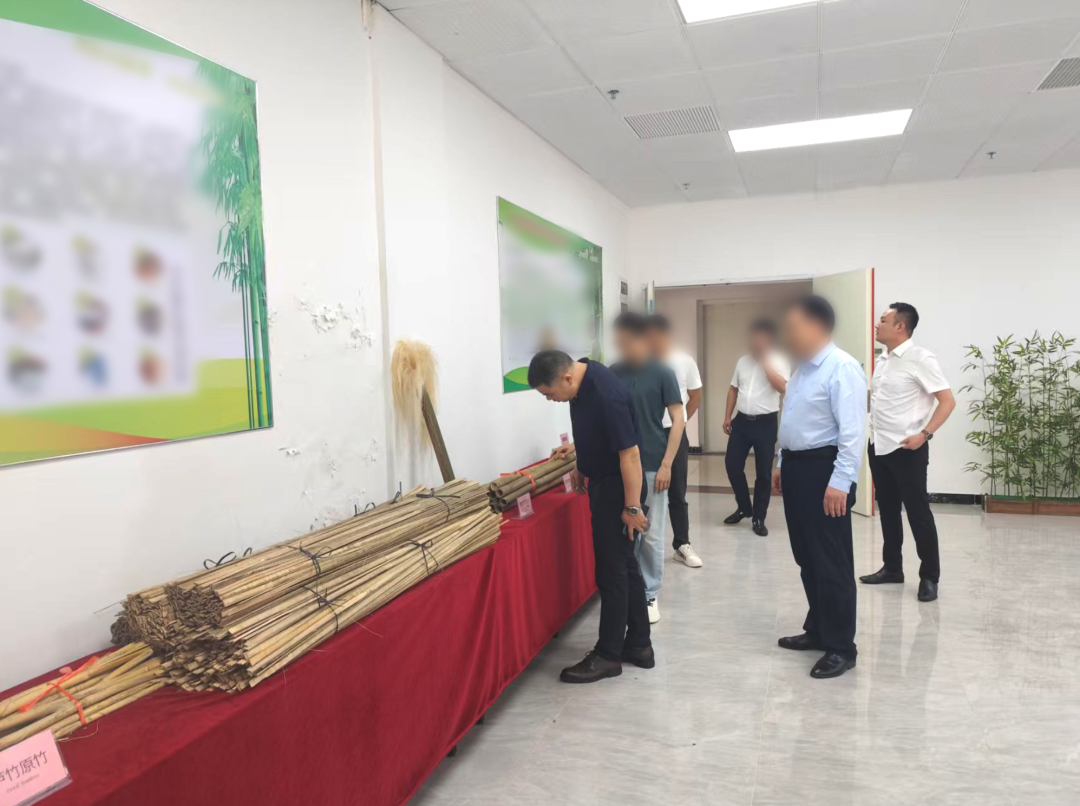 研發(fā)實力雄厚，行業(yè)知名度高！湖南某地方政府實地對接高附加值竹纖維生產(chǎn)擴建投資選址項目
