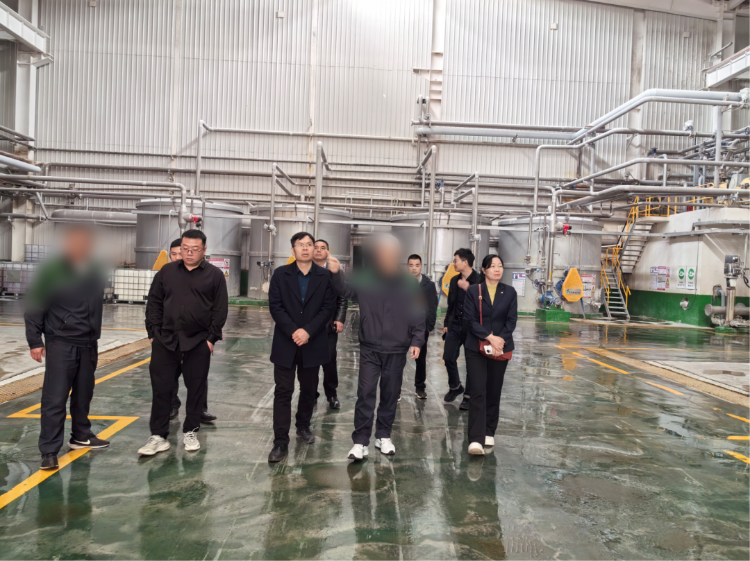 省著名商標企業，地方造紙龍頭企業！廣西某地方政府實地對接品牌紙制品擴建投資選址項目